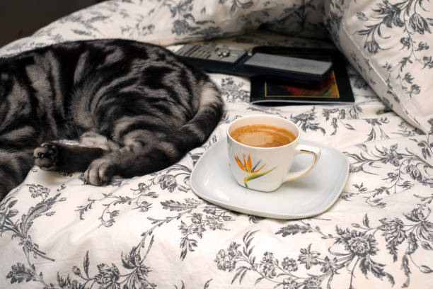 istock Unmade bed with a coffee cup and napping cat 1202894971