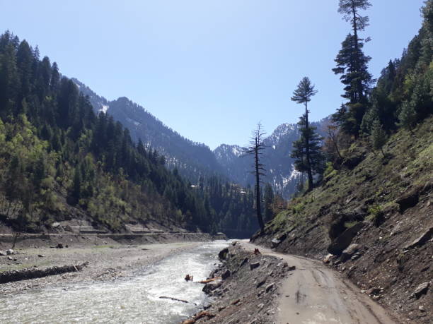 istock Nature of Kashmir 1202895453