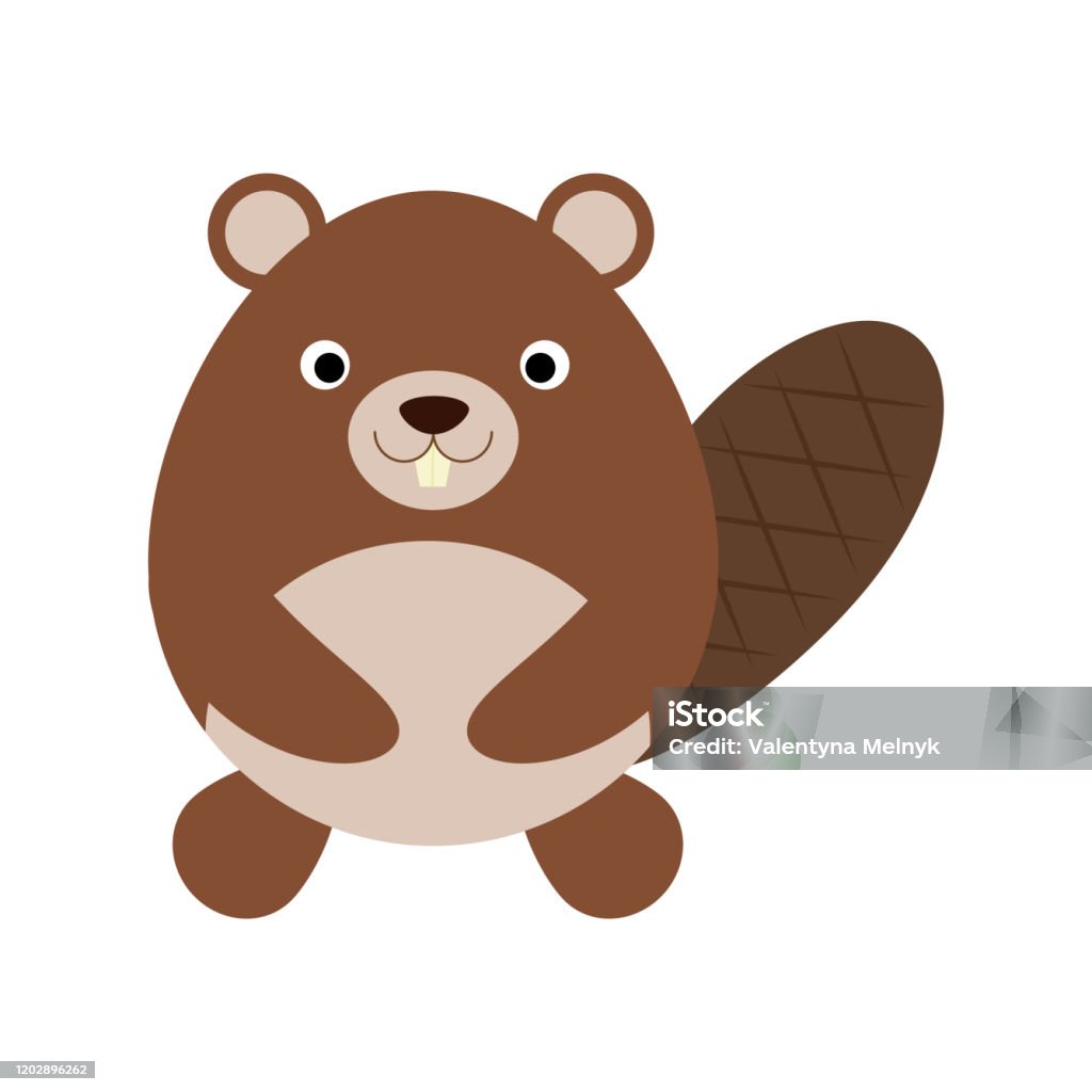 Small Beaver Design Cute Flat Design Beaver Isolate On White Background Stock Illustration ...