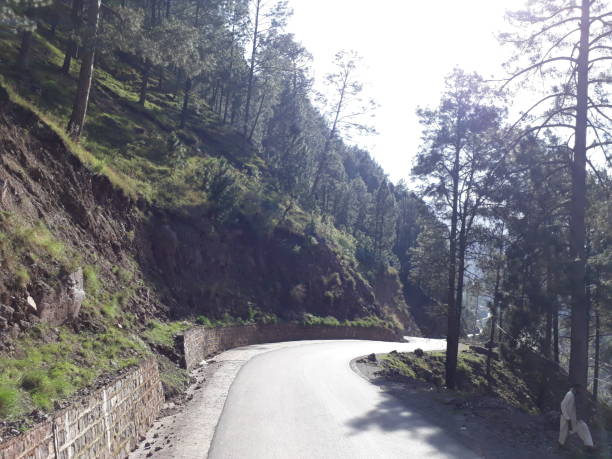 istock Nature of Kashmir 1202897586