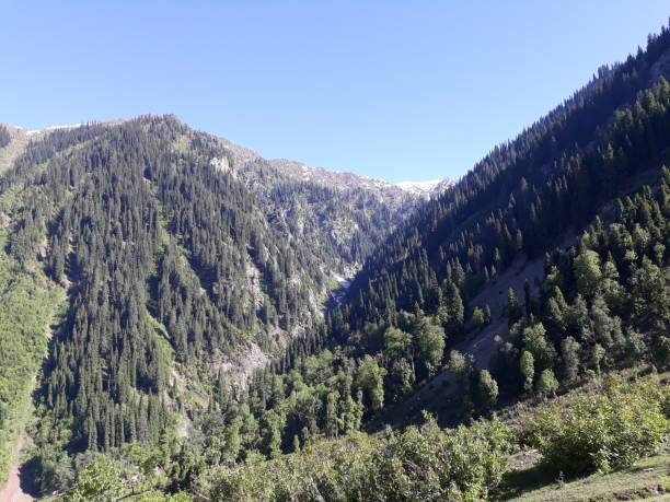 istock Nature of Kashmir 1202897911