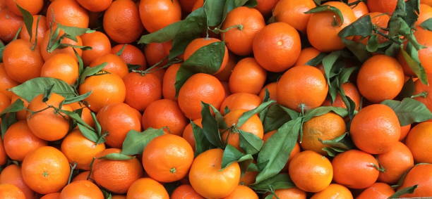 hermosas mandarinas frescas (clementina o mandarina) con hojas. naranjas en un mercado de agricultores, vista superior. - citrus fruit mandarin orange orange large group of objects fotografías e imágenes de stock