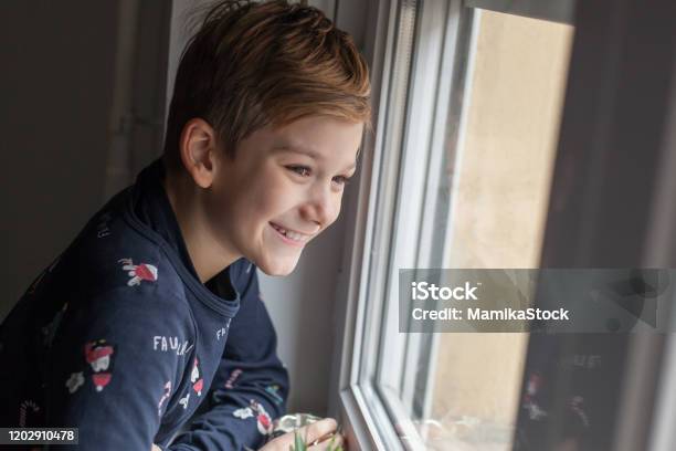 Cute Boy Enjoying While Looking Through Window Stock Photo - Download Image Now - Carefree, Child, Childhood