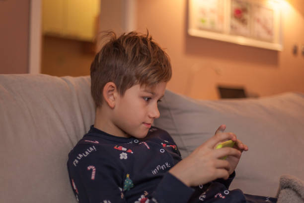istock Little boy watching cartoons on sofa at home. 1202911908