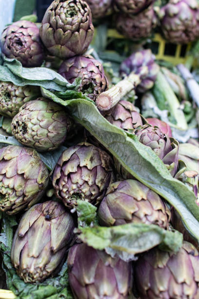 carciofi romani sulle bancarelle del mercato. - purple artichoke foto e immagini stock