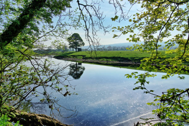 A view of the River Lune in Lancashire through sunlit vibrant leaves A view of the River Lune in Lancashire through sunlit vibrant leaves in Spring lancaster lancashire stock pictures, royalty-free photos & images