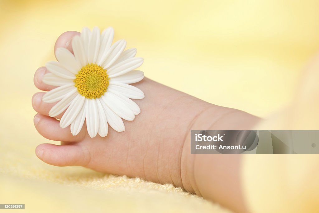 Adorable bebé pie con little white daisy - Foto de stock de Amarillo - Color libre de derechos
