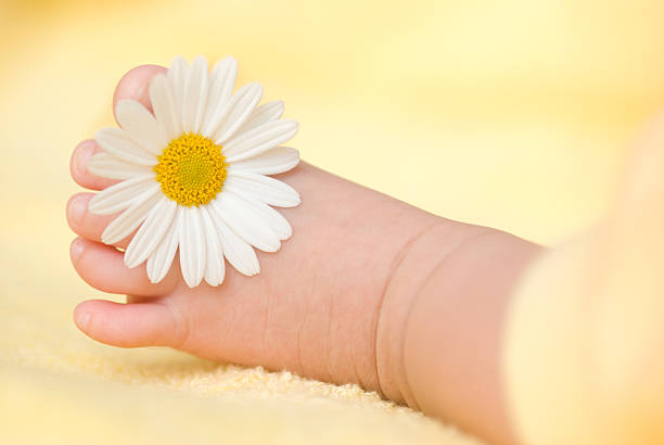 istock Lovely infant foot with little white daisy 120291397