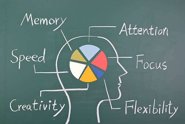 istock Concept of six ability in human brain 120291474