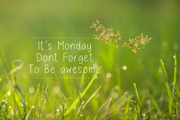 Monday inspirational greeting - Its Monday, don't forget to be awesome.
