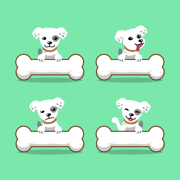 Happy Dog With Big White Bone Illustrations, Royalty-Free Vector Graphics &  Clip Art - iStock