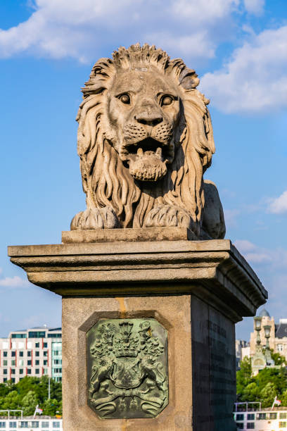 статуя будапештского цепного моста - chain bridge budapest bridge lion стоковые фото и изображения