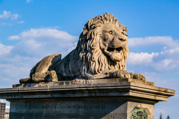 budapest chain bridge statue - chain bridge budapest bridge lion imagens e fotografias de stock