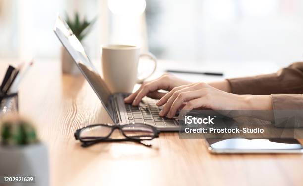 Woman Using Her Personal Computer At Cafe Stock Photo - Download Image Now - Laptop, Computer, Working