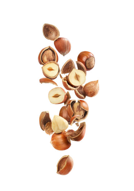 istock A lot of broken flying hazelnuts on a white background 1202921881