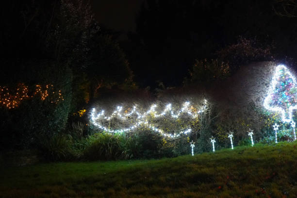 istock Christmas lights outside on fences and trees 1202925459