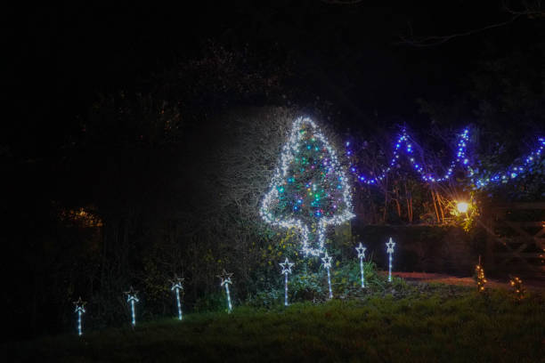 istock Christmas lights outside on fences and trees 1202925492