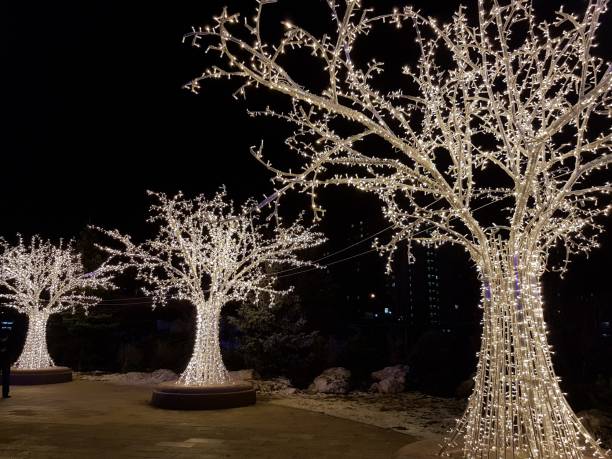 istock Christmas trees on the street 1202932945