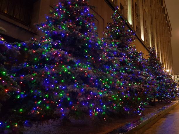 istock Christmas trees on the street 1202932976