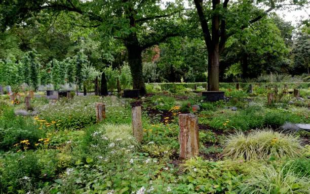 Photo of moder cemetery in cologne