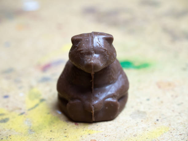 istock A brown chocolate-colored bear sits on a wooden surface. Frontal view 1202941476