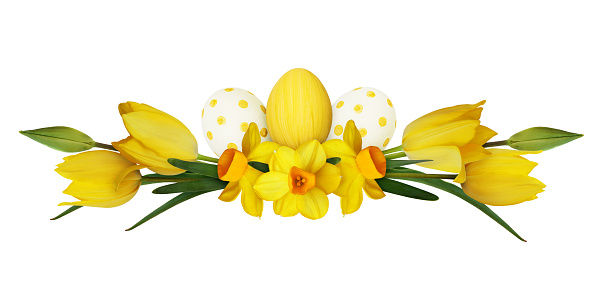 Yellow narcissus, tulip flowers and painted eggs in a spring Easter arrangement isolated on white