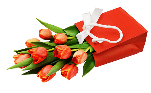 Red paper bag with satin bow and tulip flowers isolated on white background
