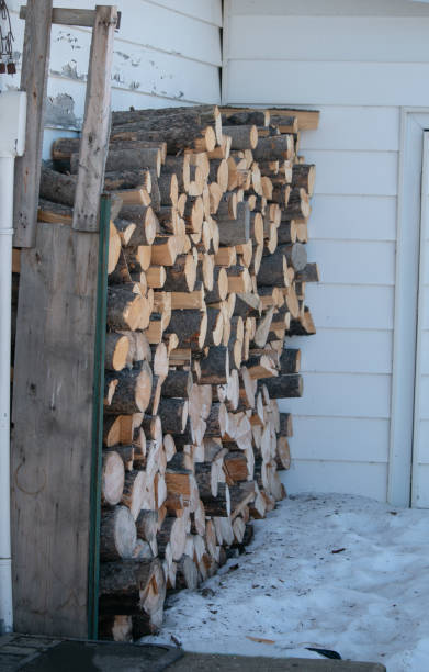 istock woodpile next to a white building 1202952262