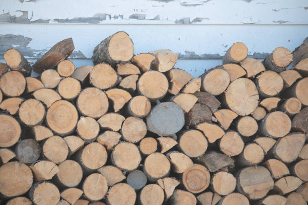 istock A woodpile stacked next to a white wall 1202952272