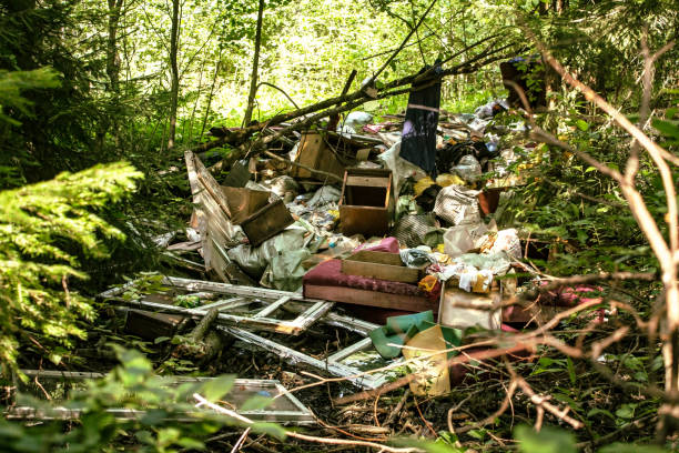 istock Garbage dump in the forest. Human influence on nature. Household waste, people illegally thrown garbage into forest. 1202953307