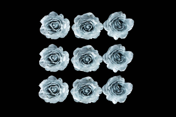 abstract background decorative silver flowers roses