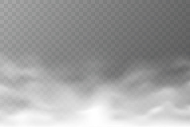 투명 한 배경에 격리 된 벡터 연기 구름입니다. 사실적인 조밀한 안개. 디자인에 대한 추상 스팀 효과. 흰색 안개. 벡터 그림입니다. - 다층 효과 stock illustrations