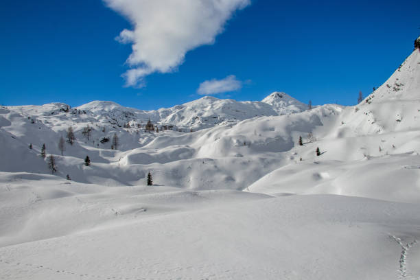 istock Snowy landscape covered in snow Komna 1202957513
