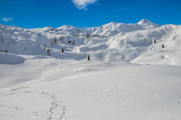 istock Landscape covered in snow Komna 1202957542