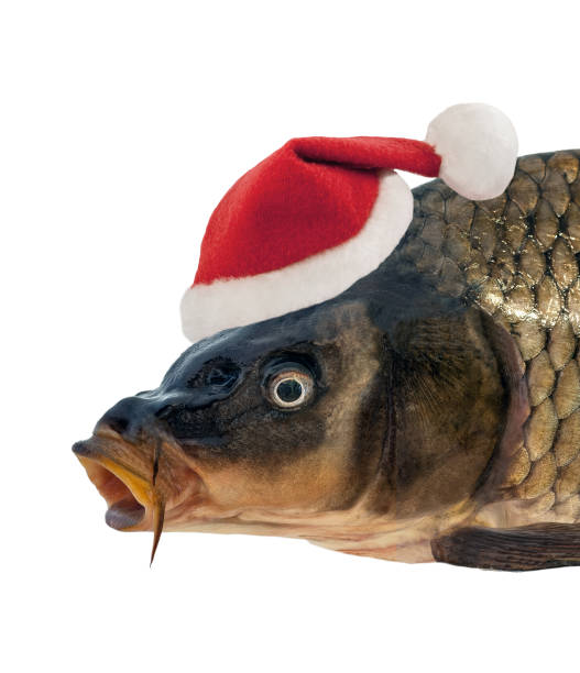 istock Christmas Czech Carp Santa Claus red hat 1202959549