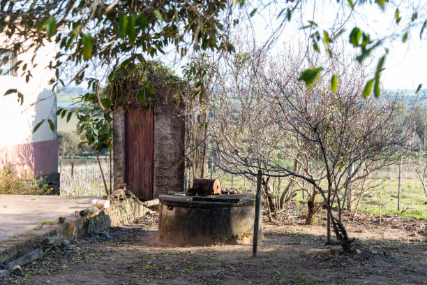 istock An abandoned house and in the foreground an old sealed 1202960635