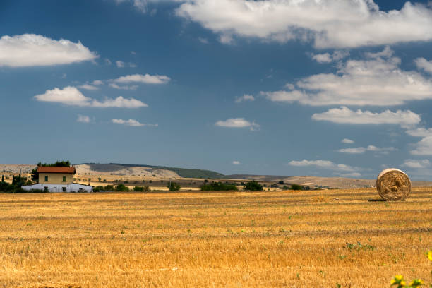 Gravina, Italy - July 11, 2019: Rural landscape near Altamura and Gravina, Bari, Apulia, Southern Italy, at summer.
