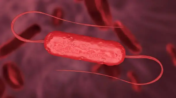 Photo of Listeria bacteria on abstract red background 3d rendering