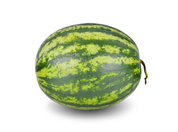 istock whole ripe watermelon with stem on white background 1202962642
