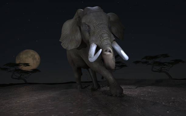 istock Enermous elephant running after safari jeep leaving the moon behing 3d rendering 1202966803