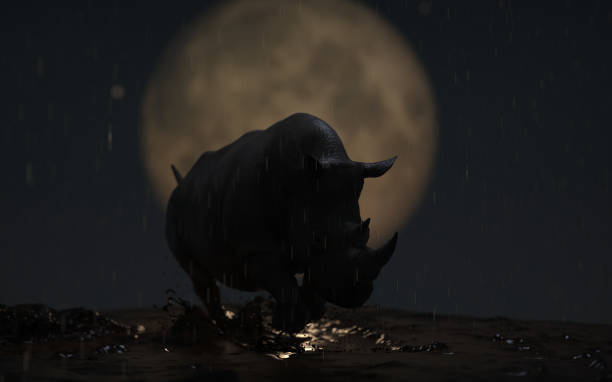 Alone rhino silhouette in front of moon and under heavy rain wet dirt 3d rendering