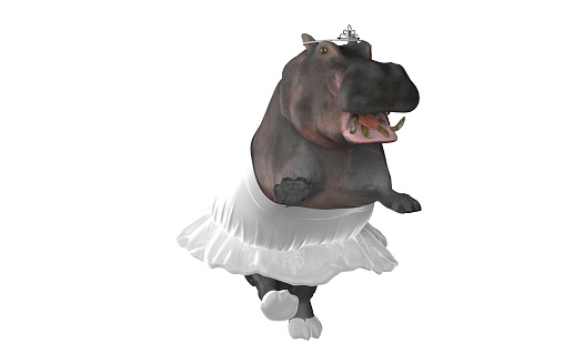 Isloated hippo with ballerina costume posing and dancing looking funny 3d rendering