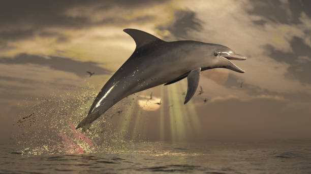 бутылка нос дельфин прыгнул высоко aobe воды 3d рендеринга - 3250 стоковые фото и изображения