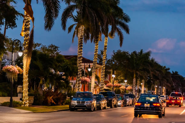 フロリダのダウンタウンの通りの通りでヤシの木に照らされた休日のクリスマスライト - florida naples florida house residential structure ストックフォトと画像