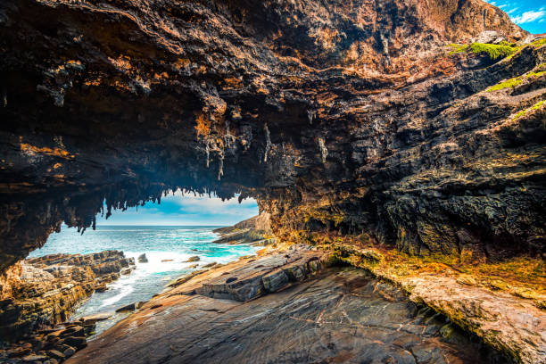 Admirals Arch lookout with Sea Lions