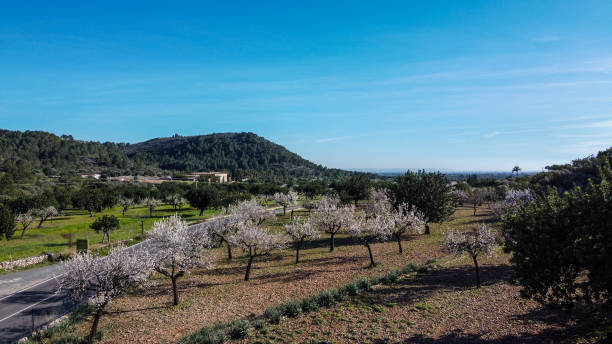 An aerial panoramic view of Serra de Tramuntana, one of the most interesting natural atractions in Mallorca