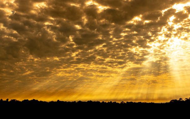 istock Image of dusk in southern brazil, 1202970254