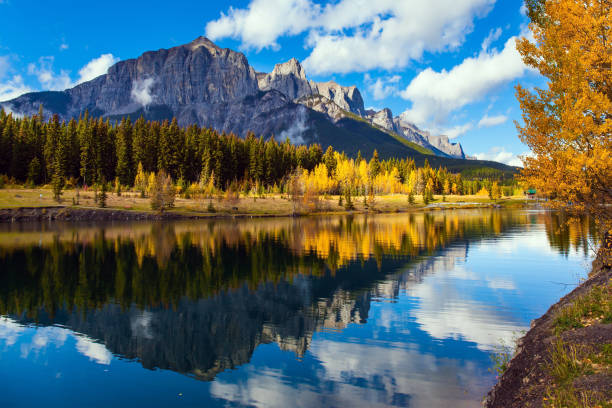 istock Cumulus clouds reflected in the lake 1202974798