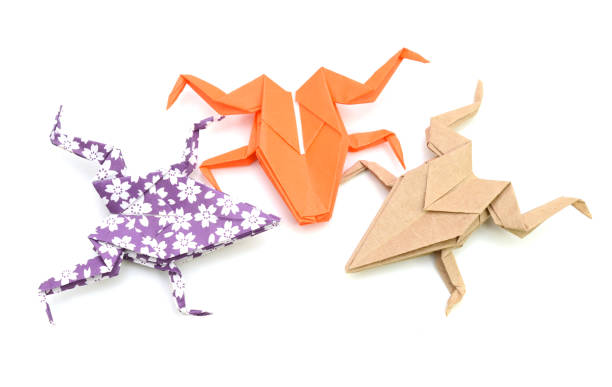 Image material of cute frog