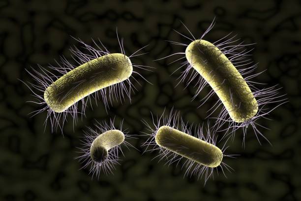 istock close up of microscopic bacteria , 3d illustration 1202977852